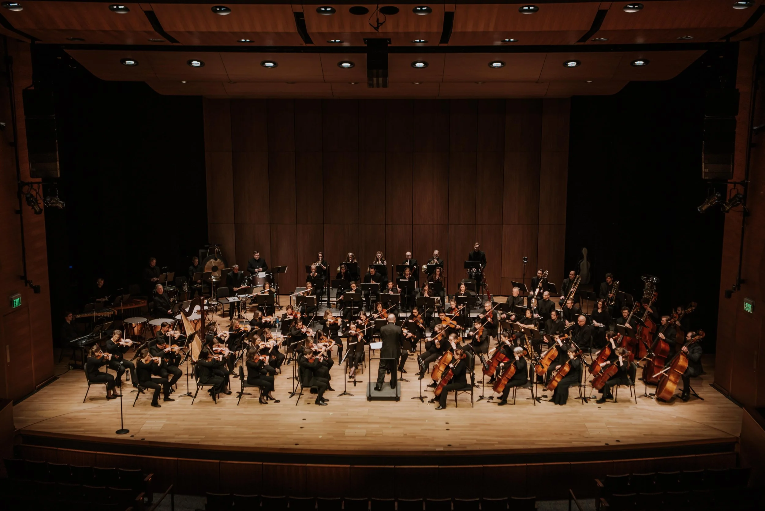 Philharmonic top orchestra instruments